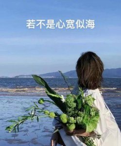 ​《家庭教师》中的星野遥：她的魅力与早退AV界的背后故事