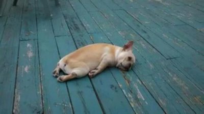 ​不想动不想说话的说说句子 不想说话的说说带图片