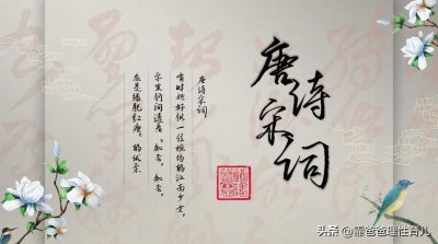 ​和孩子一起，每天背首诗：31《岭上逢久别者又别》