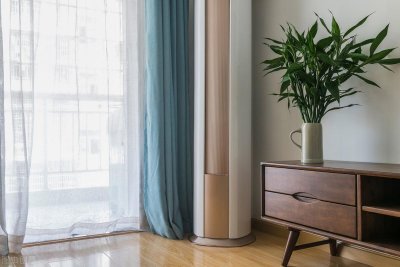 ​十二种招财又旺宅的花卉