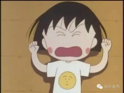 ​苏州将告别“县市无高铁” 往通扬泰乘高铁再也不堵车！