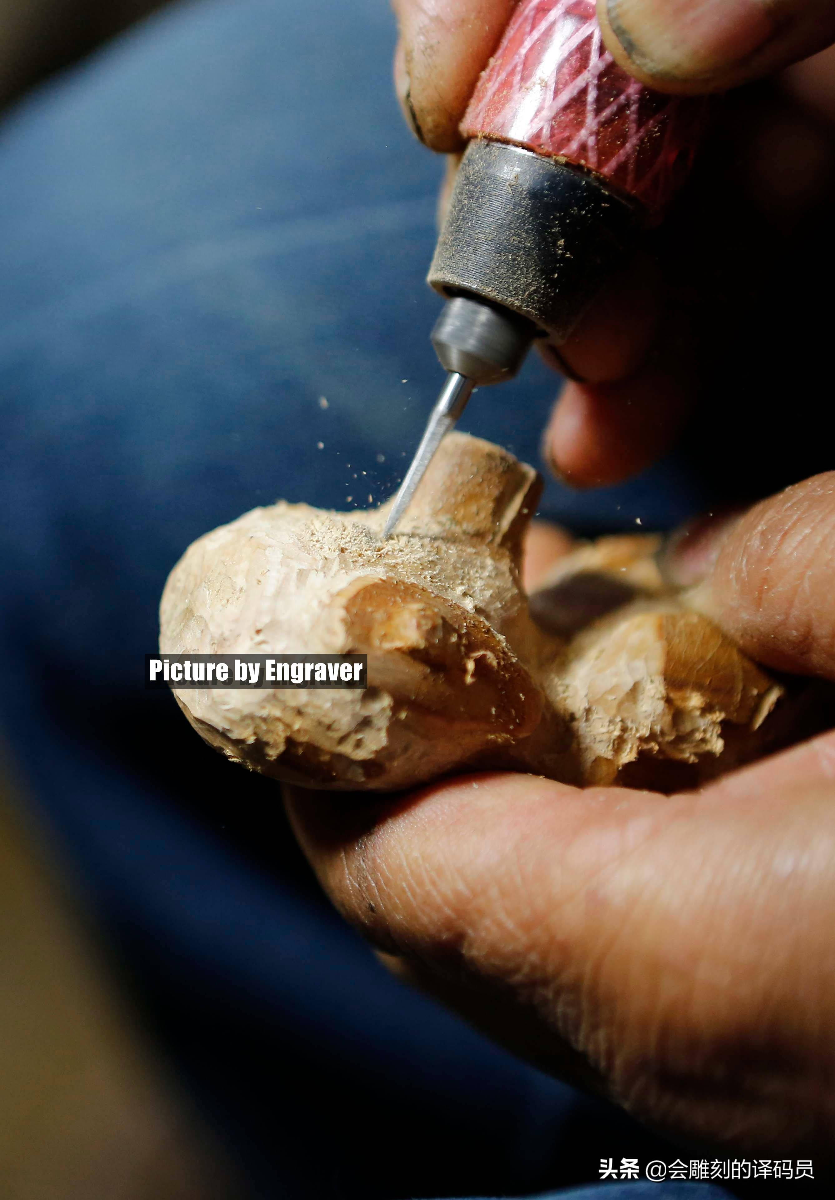 蒙子-还可以这样玩