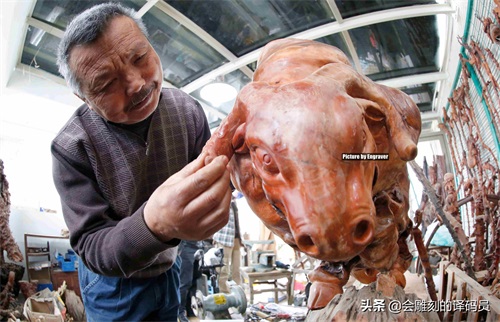 蒙子-还可以这样玩