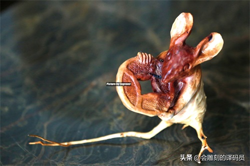 蒙子-还可以这样玩