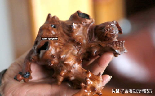 蒙子-还可以这样玩