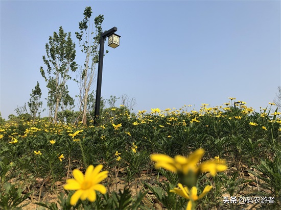 湖北秭归百姓休闲有了新去处——望江公园