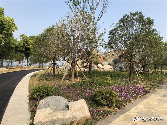 湖北秭归百姓休闲有了新去处——望江公园