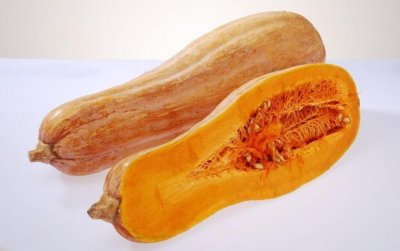 ​东西南北瓜，你吃过北瓜吗？