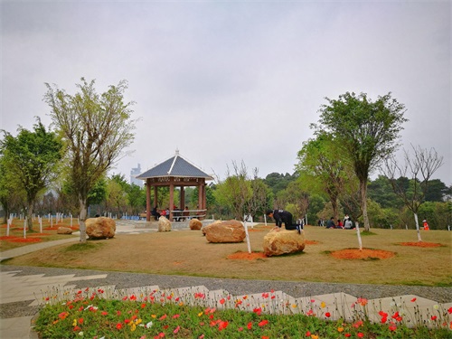 实拍周末的南宁石门森林公园：人气有点旺