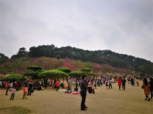 实拍周末的南宁石门森林公园：人气有点旺