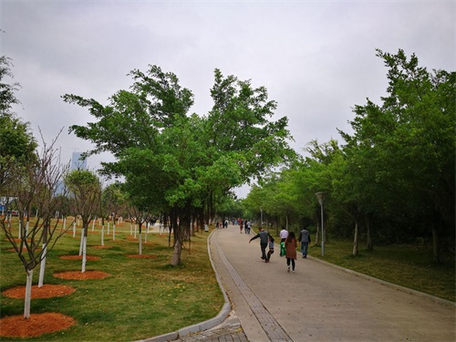 实拍周末的南宁石门森林公园：人气有点旺