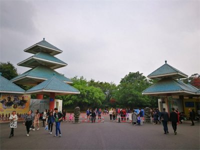 ​实拍周末的南宁石门森林公园：人气有点旺