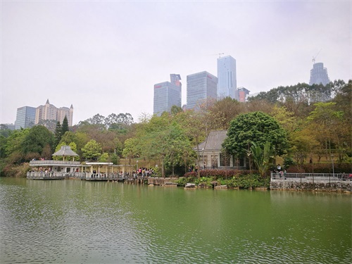 实拍周末的南宁石门森林公园：人气有点旺