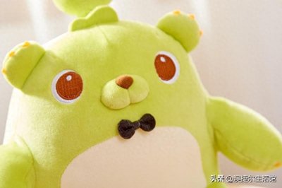 ​网红萌芽熊童子-这精致的做工像极了爱情！