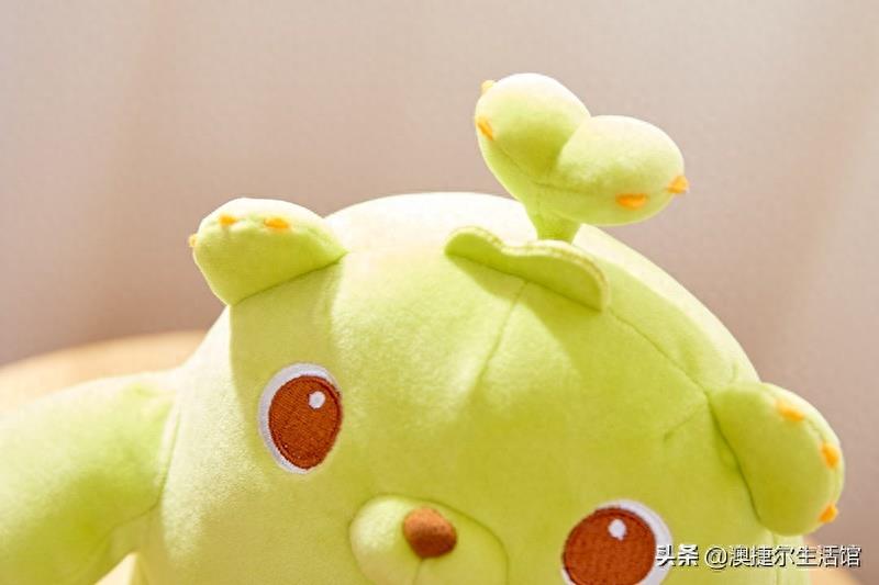 网红萌芽熊童子——这精致的做工像极了爱情！