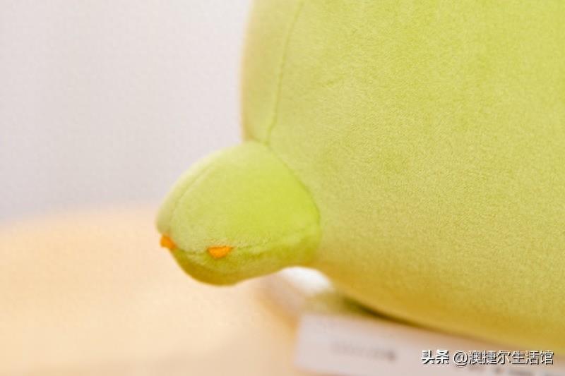 网红萌芽熊童子——这精致的做工像极了爱情！