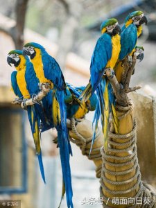 ​石家庄市动物园