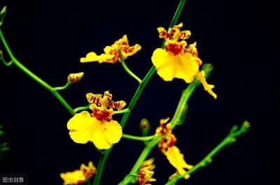 ​家庭自制育苗基质常用配方，赶紧收藏起来！