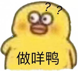 ​一波小鸭子高清表情包