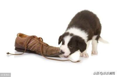 ​有趣的歇后语 铁打的公鸡