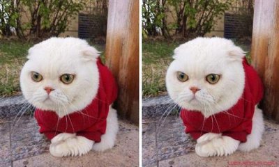 ​抖音女神排行榜No3