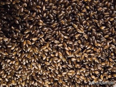 ​黑金谷粥-健身餐、轻食谱中的轻奢品