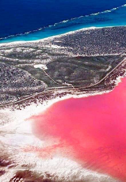 未解的谜团——神奇的粉色湖泊