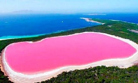 未解的谜团——神奇的粉色湖泊