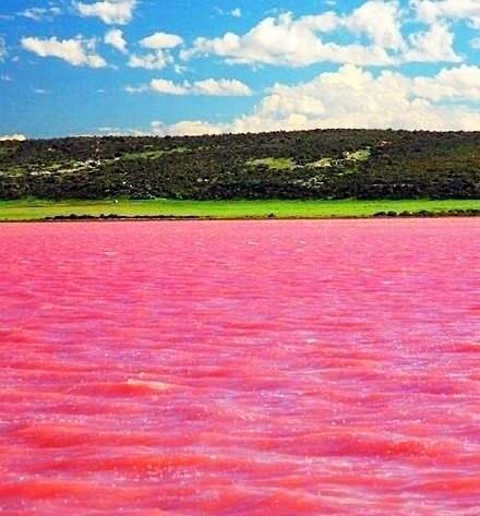 未解的谜团——神奇的粉色湖泊