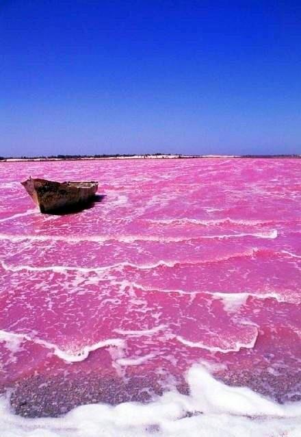 未解的谜团——神奇的粉色湖泊