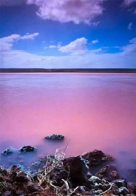 未解的谜团——神奇的粉色湖泊