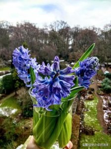 ​天蝎座的迷人魅力