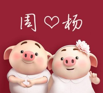 ​23张超萌的情侣猪猪姓氏头像，快来挑选吧~还能免费设计头像