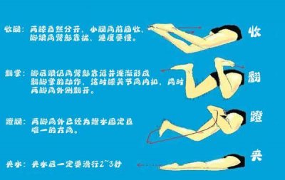 ​蛙泳腿的基本动作