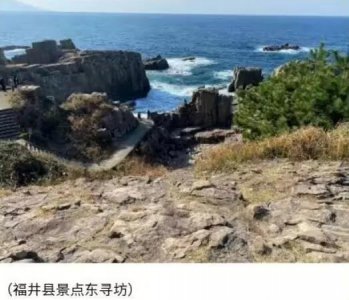 ​日本两女生东寻坊悬崖自杀,原因竟是担心AI取代自己的技能。