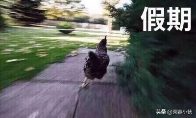 ​太原动物园即将正式开放