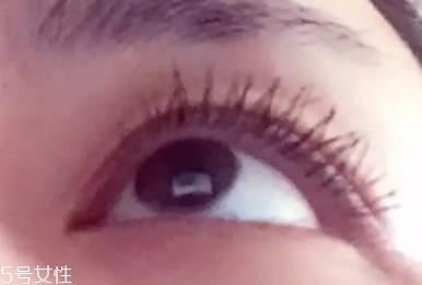睫毛打底膏的作用 是鸡肋还是神器