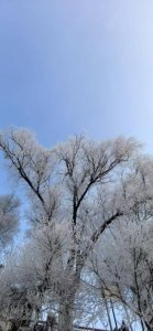 吉林：白山与黑水