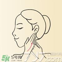 雅顿时空胶囊怎么用？伊丽莎白雅顿时空胶囊使用方法