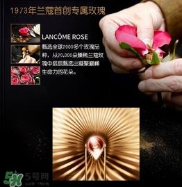 兰蔻黑金臻宠精华乳怎么用？兰蔻黑金臻宠精华乳使用方法