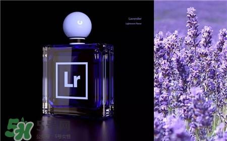 Adobe香水多少钱?Adobe香水在哪里买? Adobe香水多少钱?Adobe香水在哪里买?