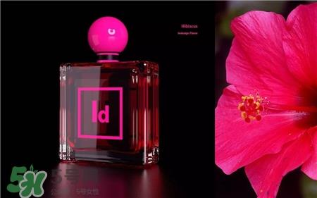 Adobe香水多少钱?Adobe香水在哪里买? Adobe香水多少钱?Adobe香水在哪里买?