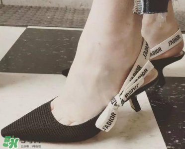 ​dior猫跟鞋多少钱？dior猫跟鞋价格