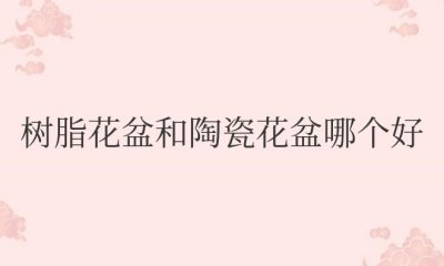 ​树脂花盆和塑料花盆哪个耐用
