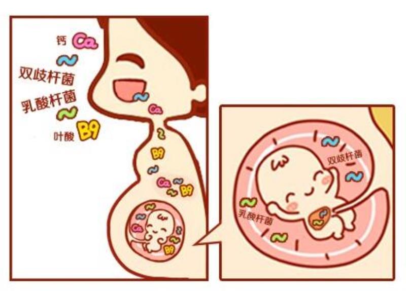 雀巢女士奶粉怎么样（女士奶粉排行榜）(3)