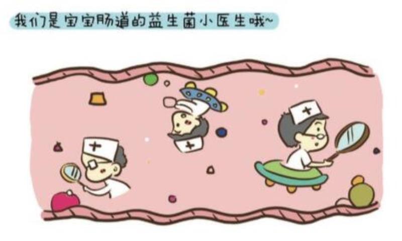 雀巢女士奶粉怎么样（女士奶粉排行榜）(2)