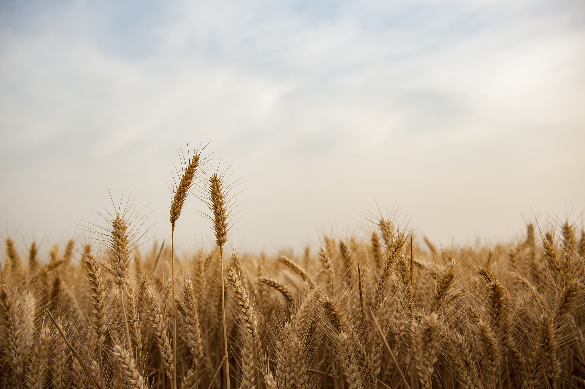 第一次创业开什么店好 21岁初次创业开什么店合适