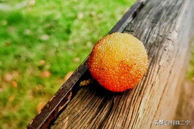 ​冬雪雪冬小大寒是指哪六个节气（按顺序介绍）