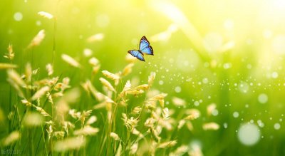 ​enable(SpringBoot中@Enablexxx注解详解)