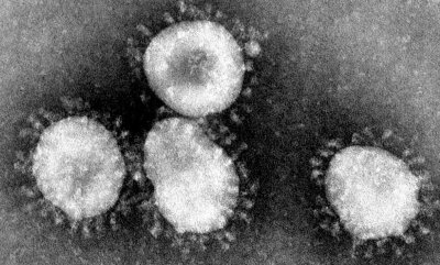 ​病毒存在34亿年（病毒存在多少亿年了）